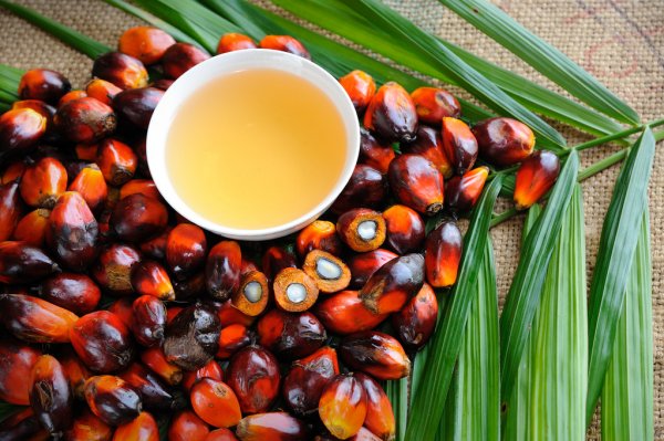 Musim Mas Joins China Sustainable Palm Oil Alliance