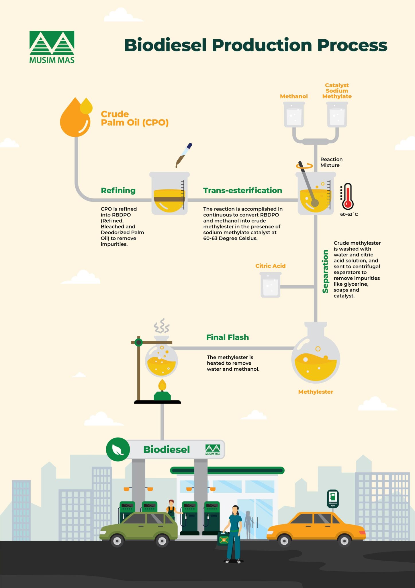 How is Palm Oil Made into Biodiesel? Musim Mas
