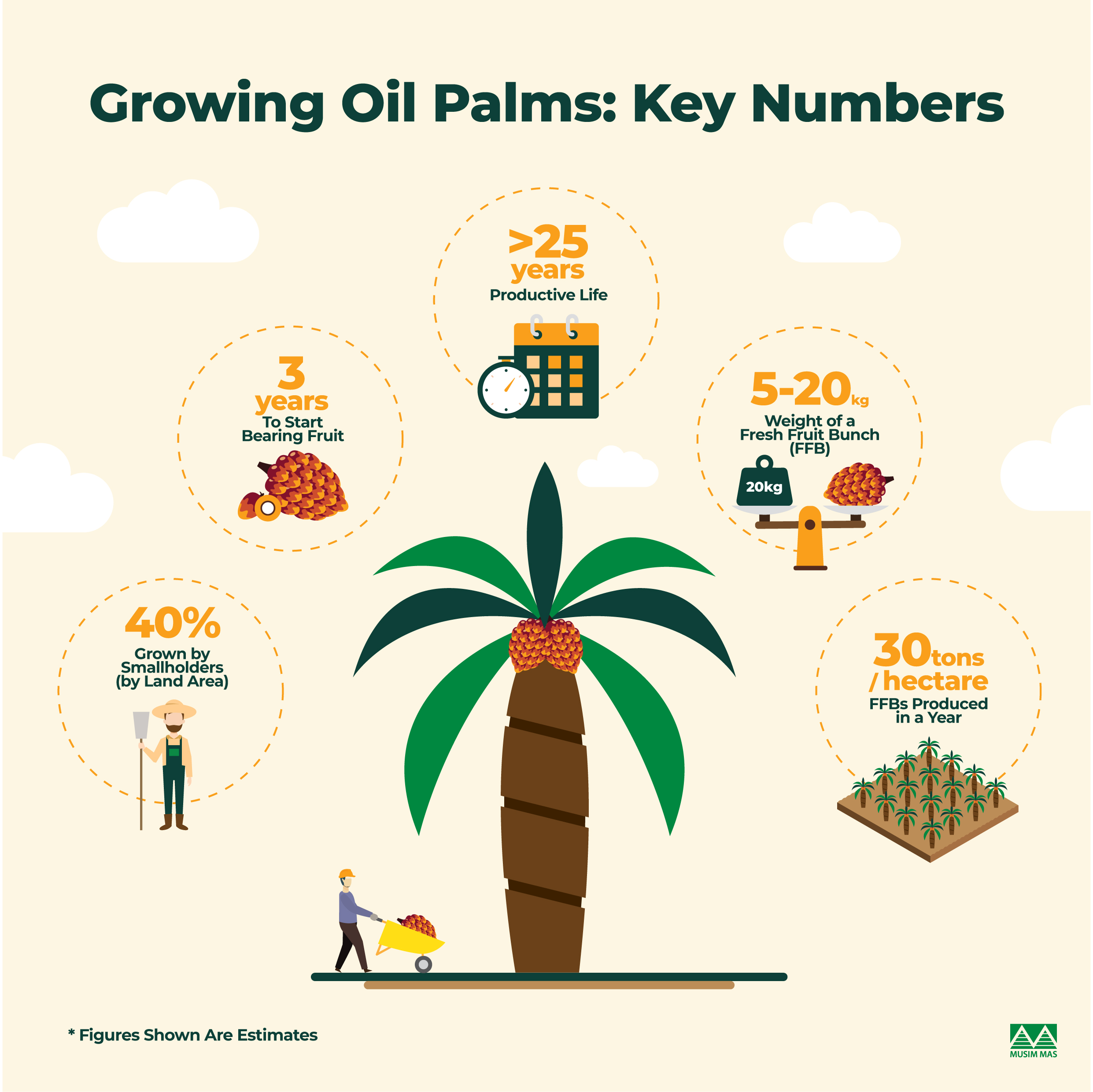 Key numbers for growing oil palms