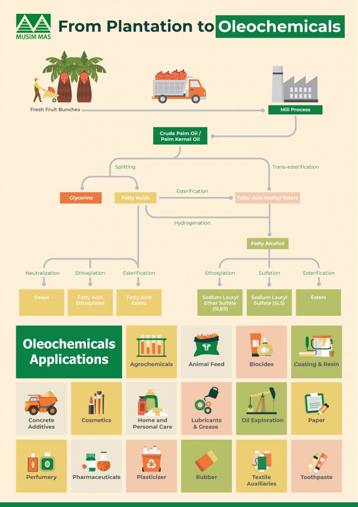 How is palm oil processed into oleochemicals
