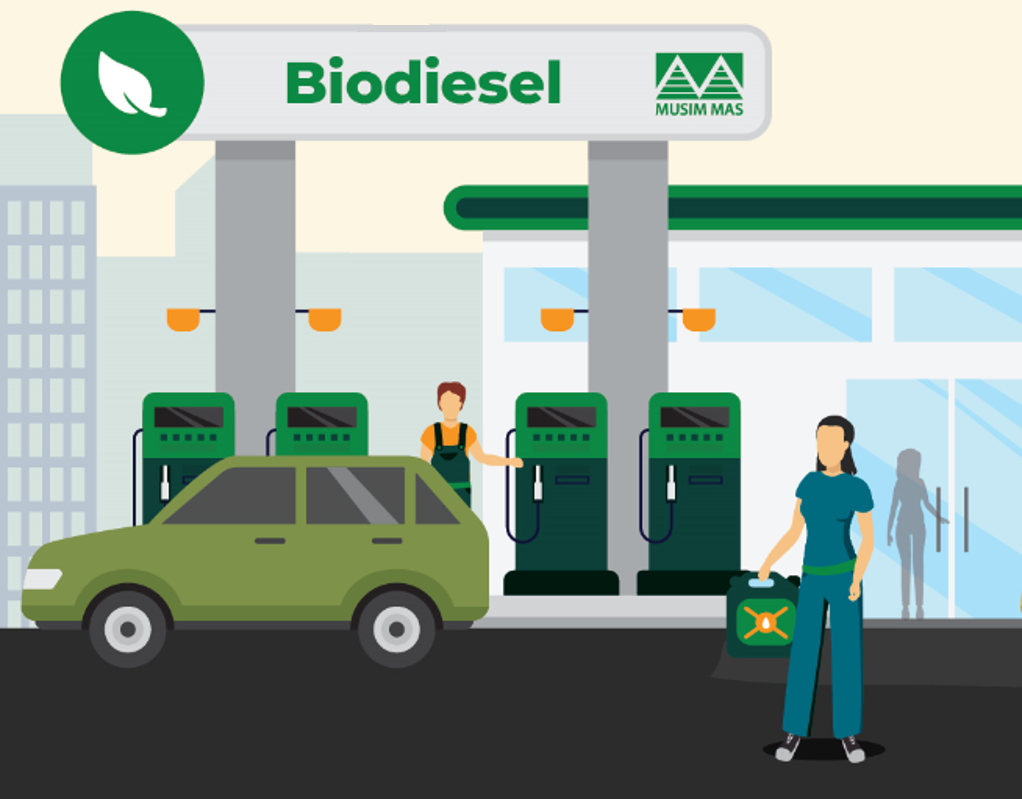 How is Palm Oil Made into Biodiesel?