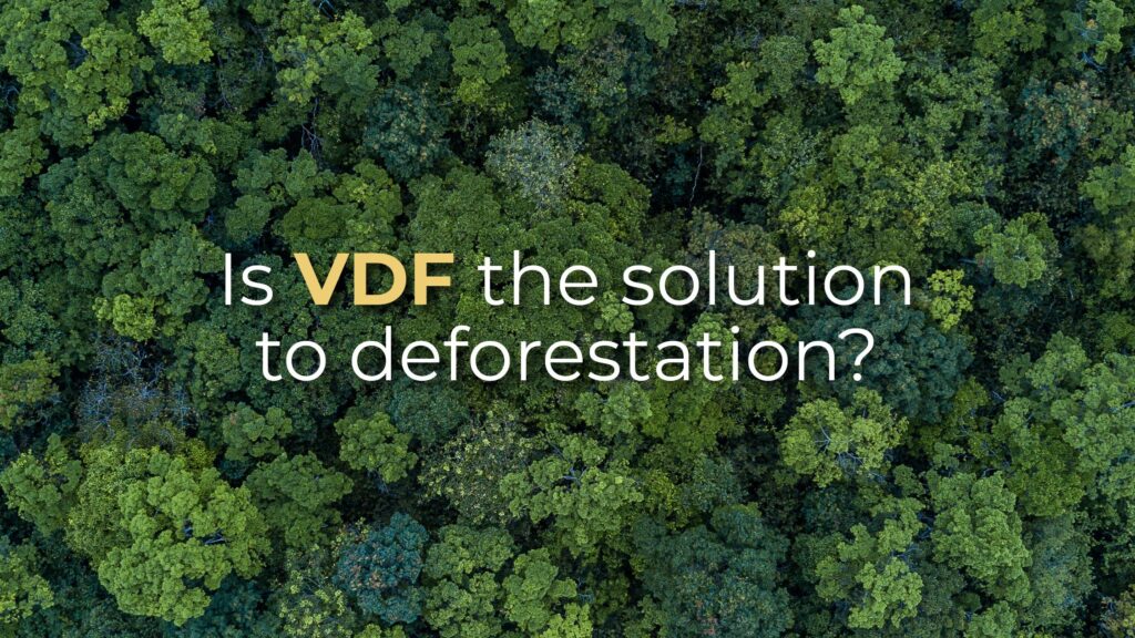 Is VDF and the EU due diligence regulation the solution to deforestation