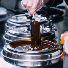 From Plantation to Specialty Fats: The Journey of Chocolate Coatings and More