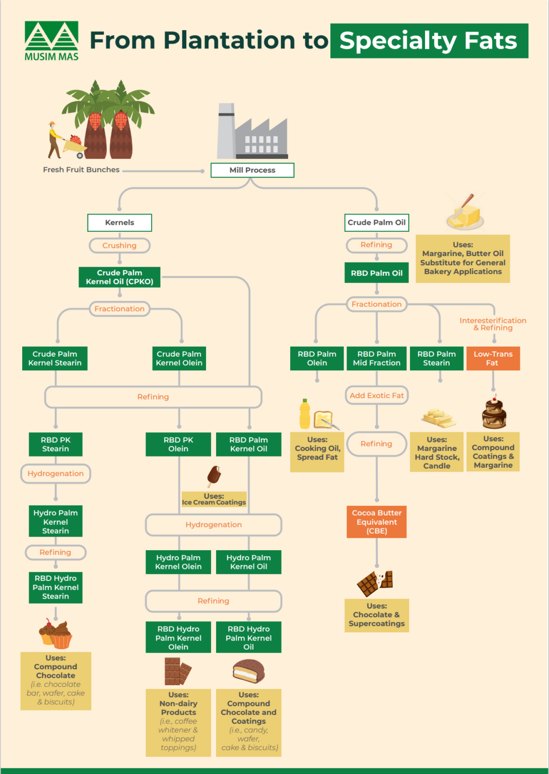 Fat Flowchart Examples Dari Perkebunan ke Lemak Khusus: Perjalanan Lapisan Cokelat dan Lainnya ...