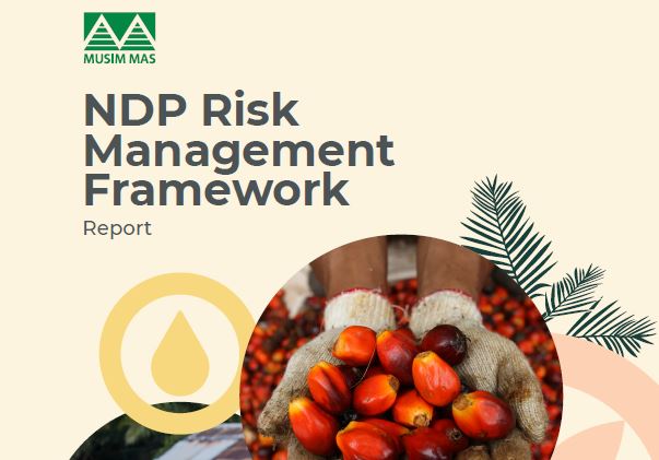 NDP Risk Management Framework Report