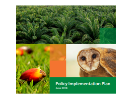 Policy Implementation Plan (Sustainability)