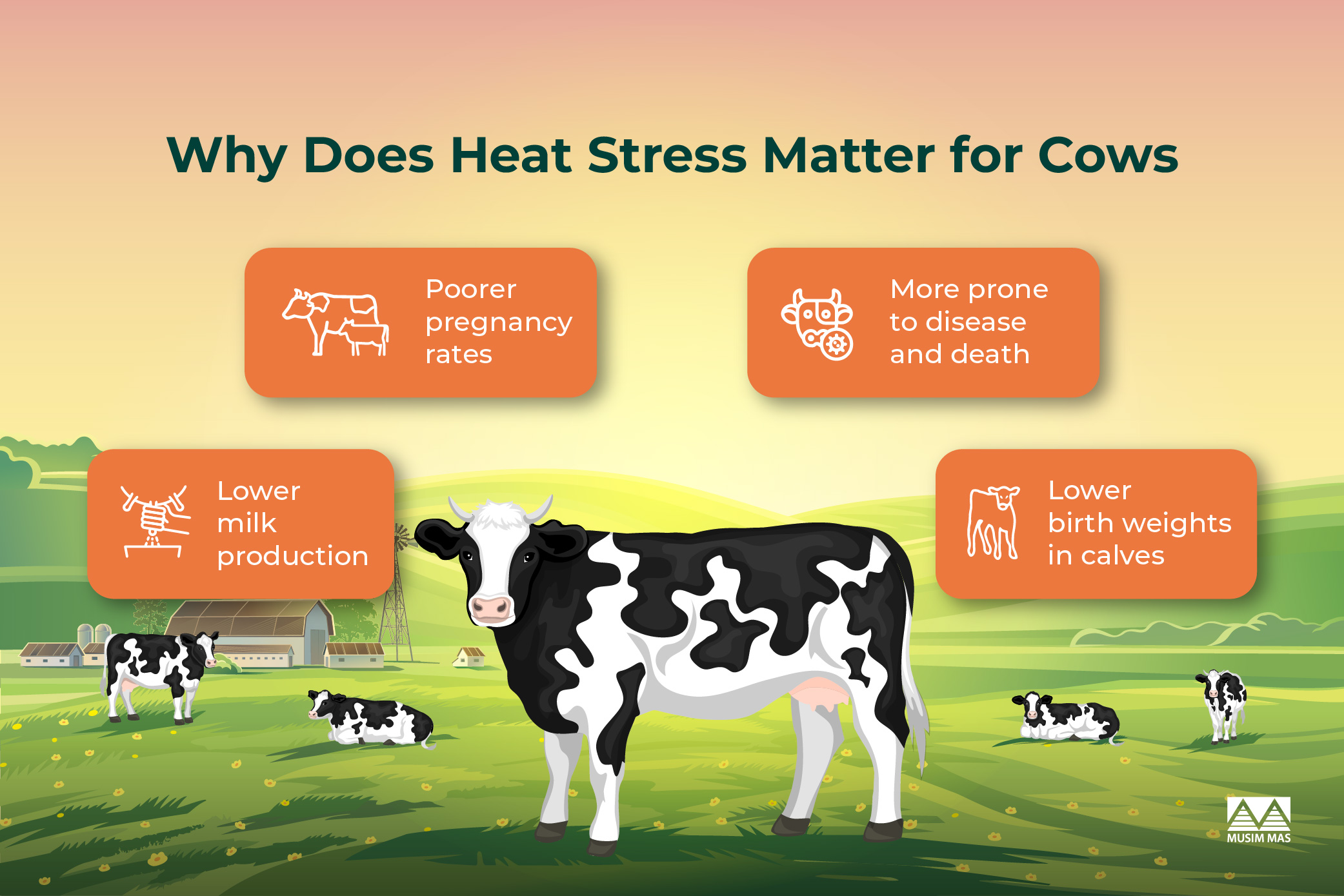 Combating Heat Stress Effects In Cows The Right Intake Of Fats Can Help Musim Mas