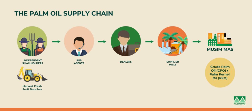 Palm oil supply chain map