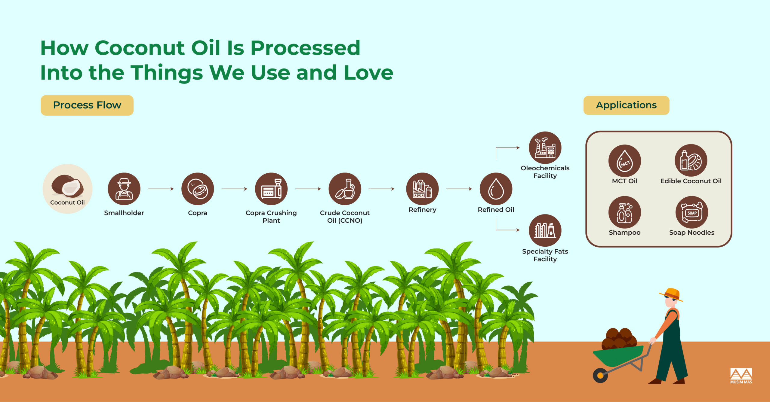 How is Coconut Processed from a Plant into Oil and Oleochemicals? - Musim  Mas