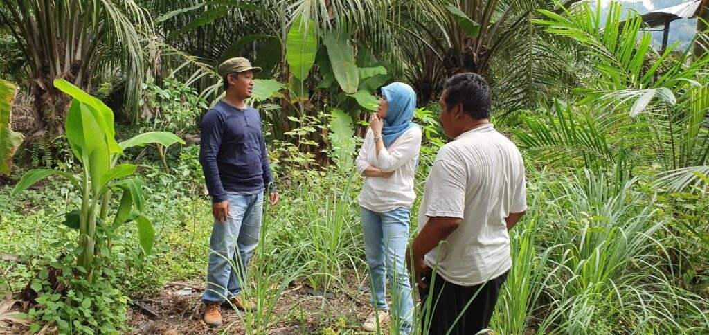 Researching Innovations For Sustainable Palm Oil: An Interview with Dr Diana Chalil