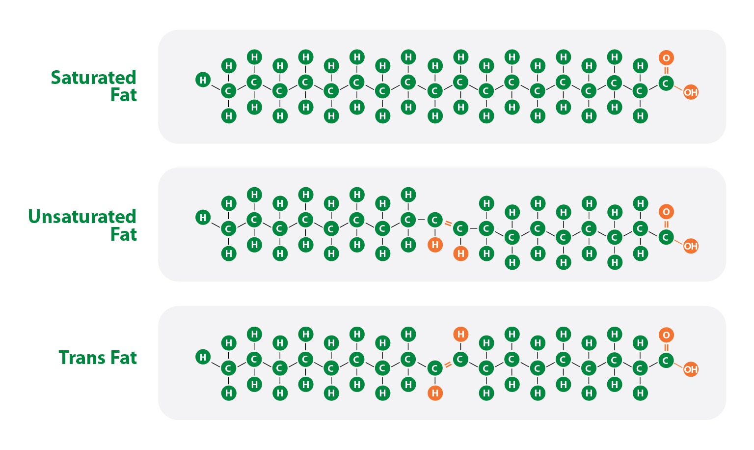 Saturated Fat, Unsaturated Fat, Trans Fat
