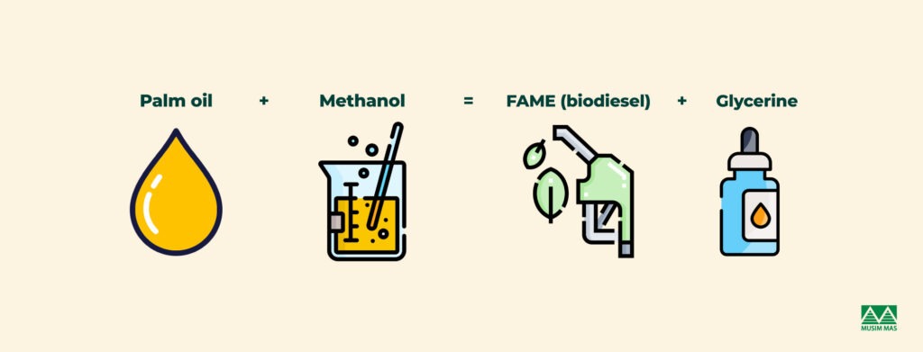 Biodiesel FAME production