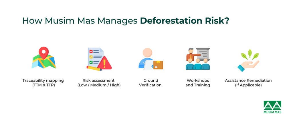 Deforestation Risk Assessment