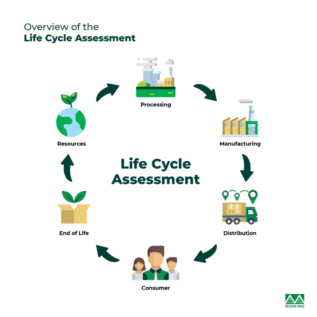 Overview of the Life Cycle Assessment