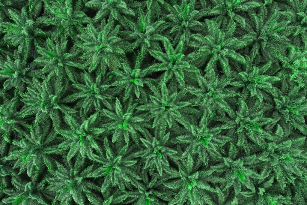 Overcoming Sustainability Challenges Through Circular Waste Mills