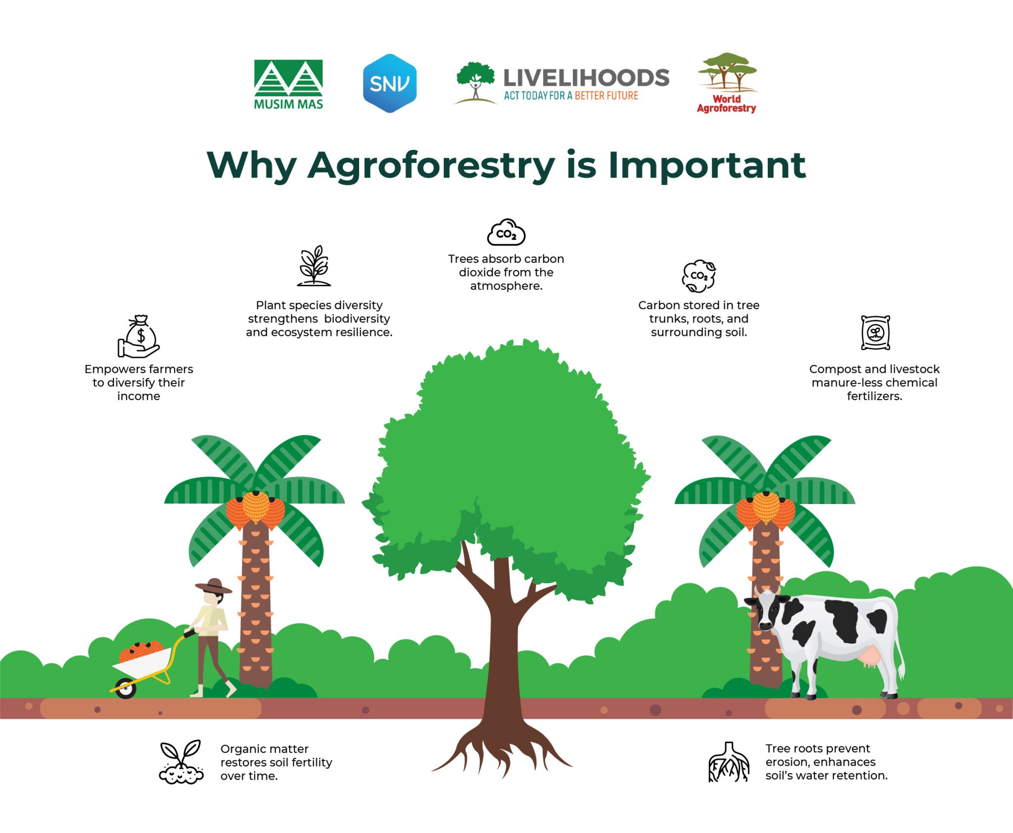 How Agroforestry Is Strengthening Smallholder Farms in Indonesia