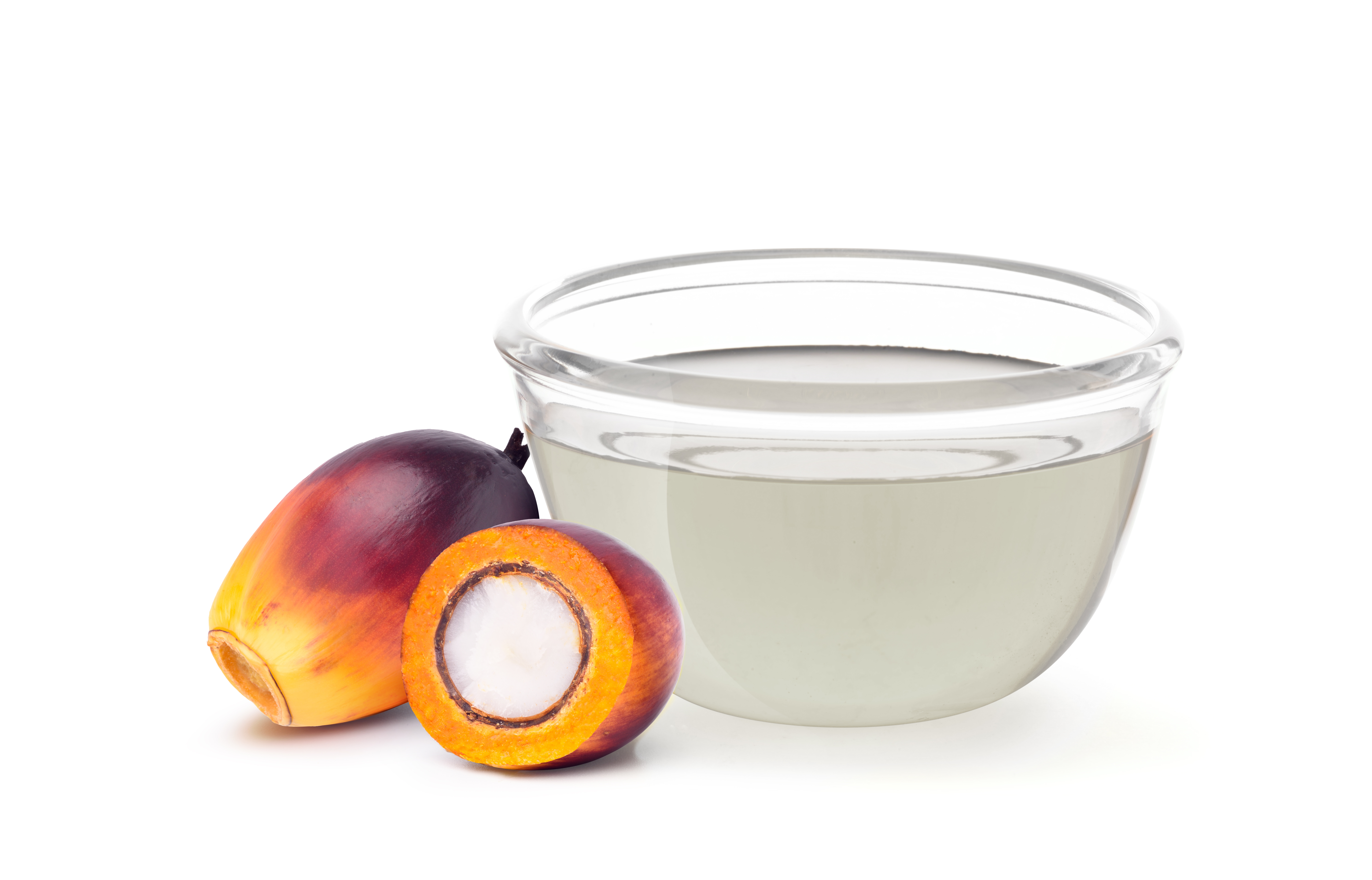 Palm Kernel Oil and Oil Palm Seed 