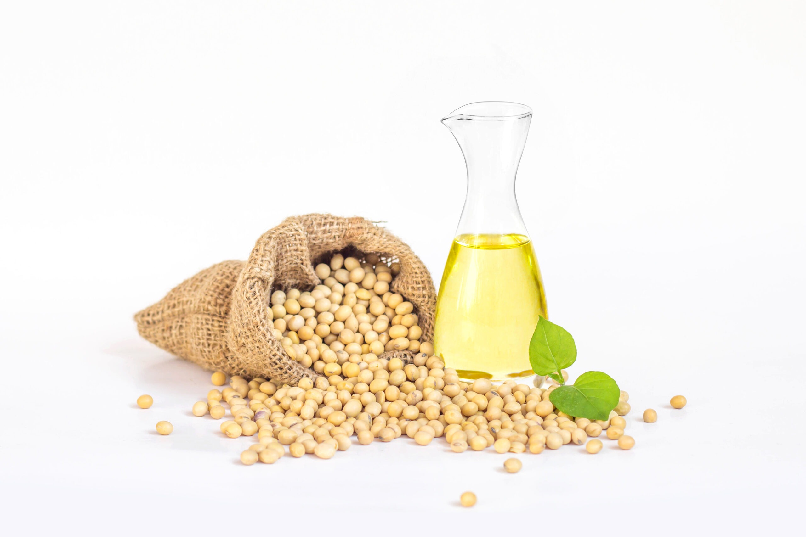 Soybean Oil 