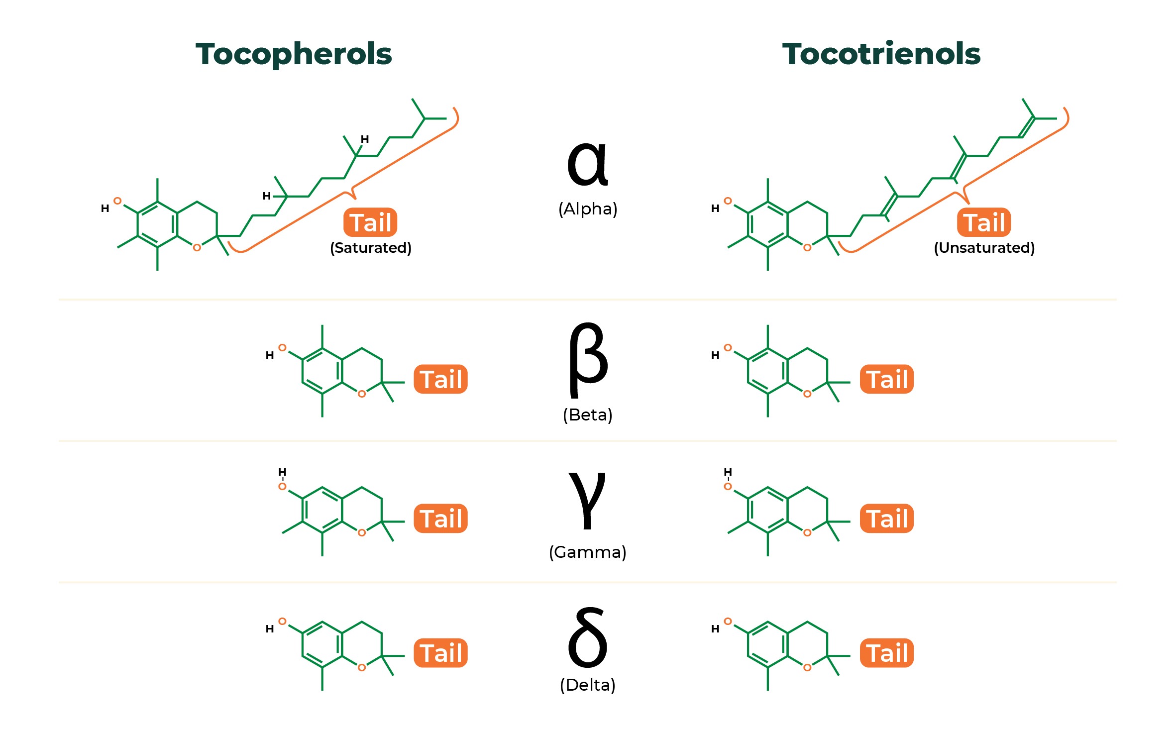 Vitamin E Tocopherols vs Tocotrienols