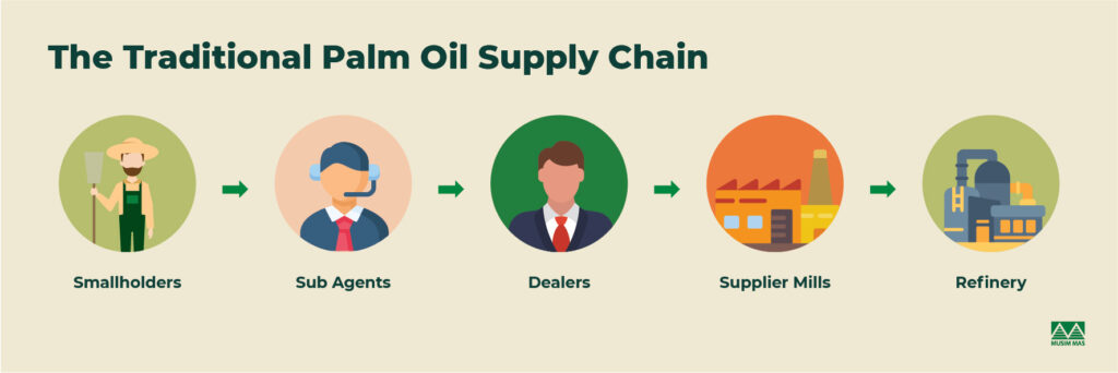 Palm Oil Supply Chain