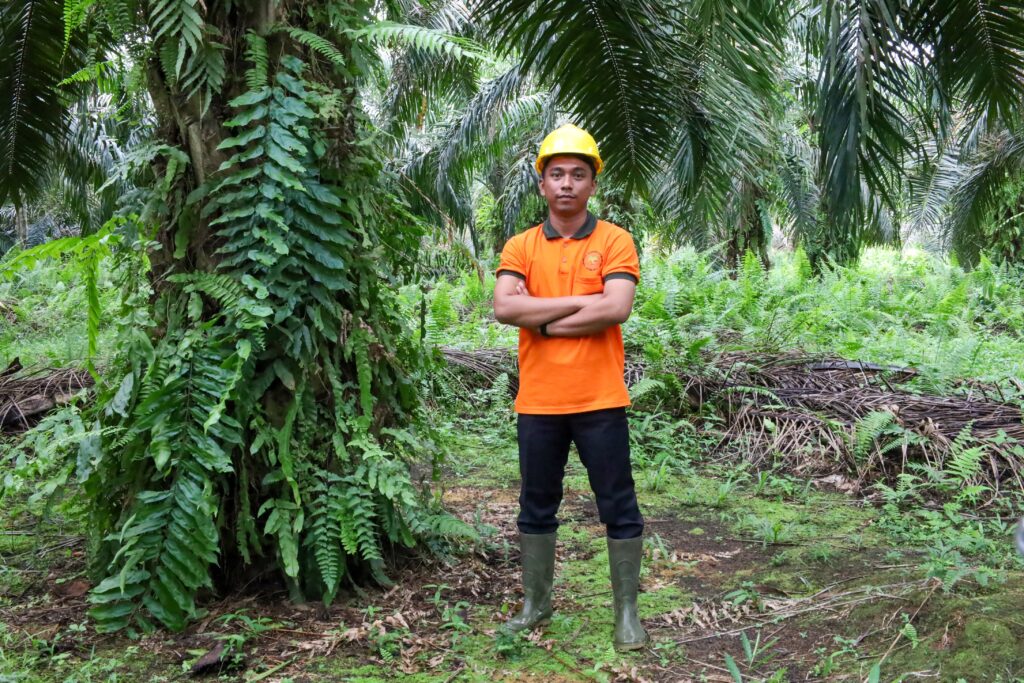 Oil Palm Smallholder Farms