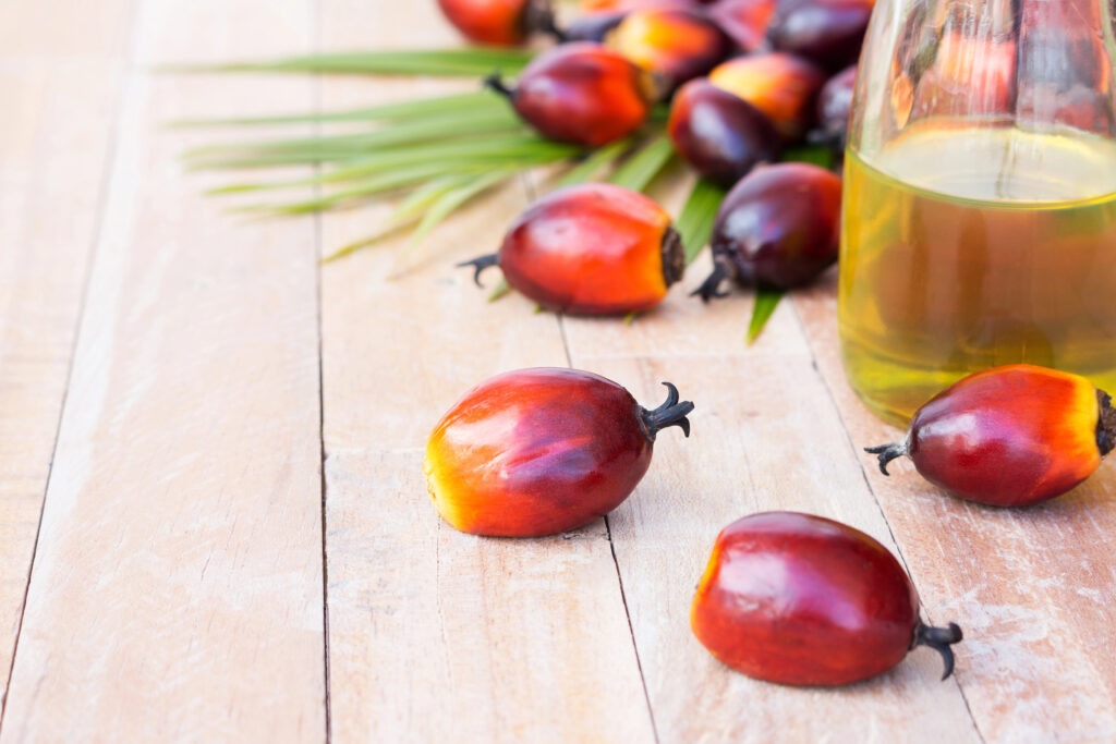 Caprylic/Capric Acid: The MCFA Powering Modern Formulations