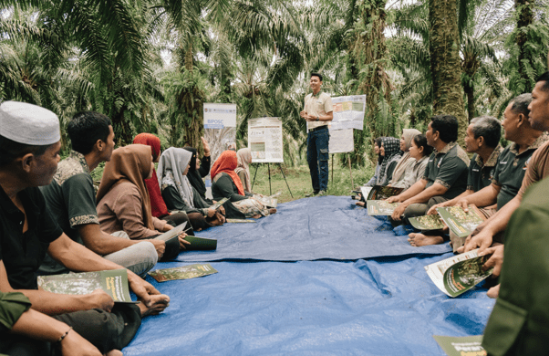 regenerative agriculture palm