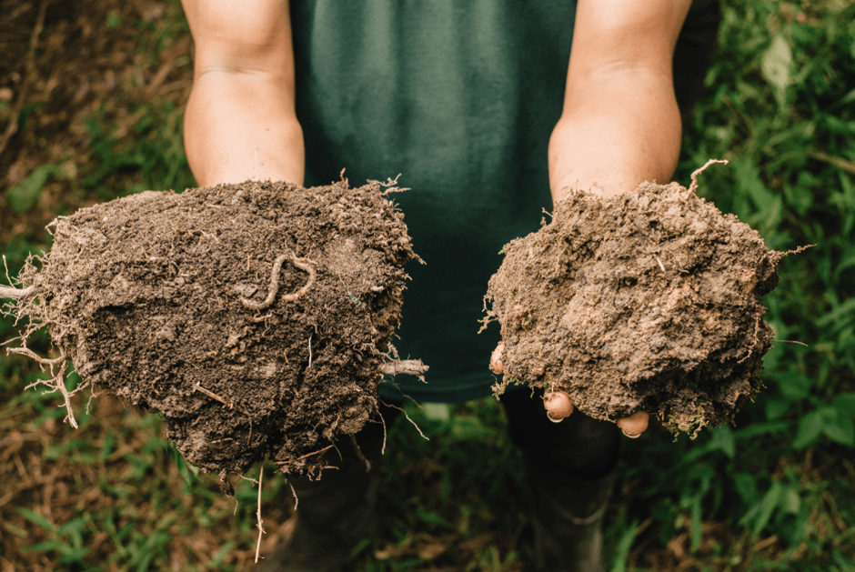 soil health importance