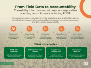 Why Sustainable Palm Oil Traceability Matters