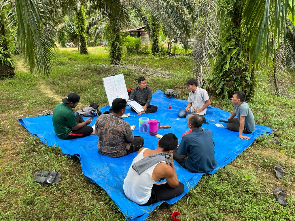 Palm oil sustainability training